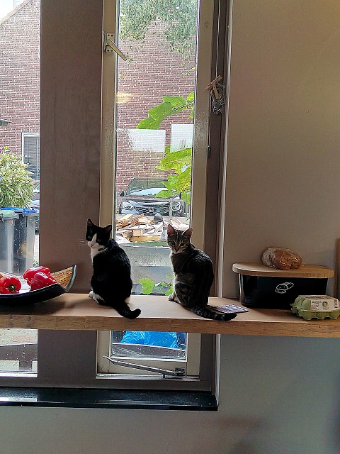 IMG 20250906 193316960 HDR