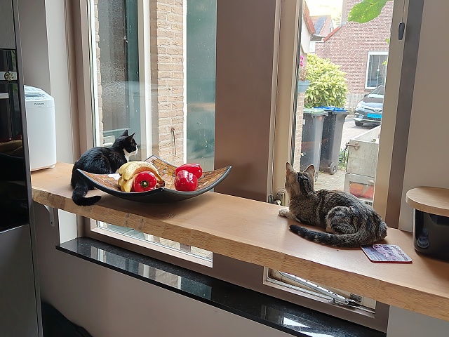 IMG 20250906 193427821 HDR