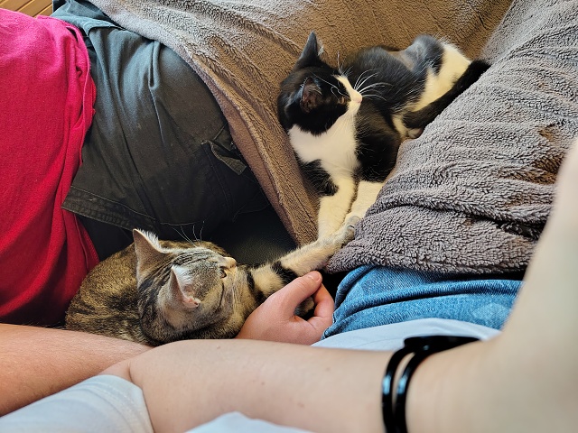 IMG 20250906 195030239