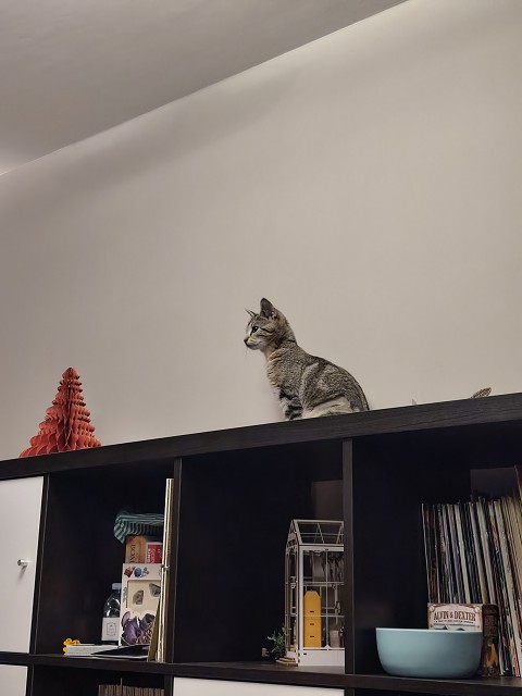 IMG 20250906 212653775