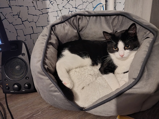 IMG 20250907 220907318