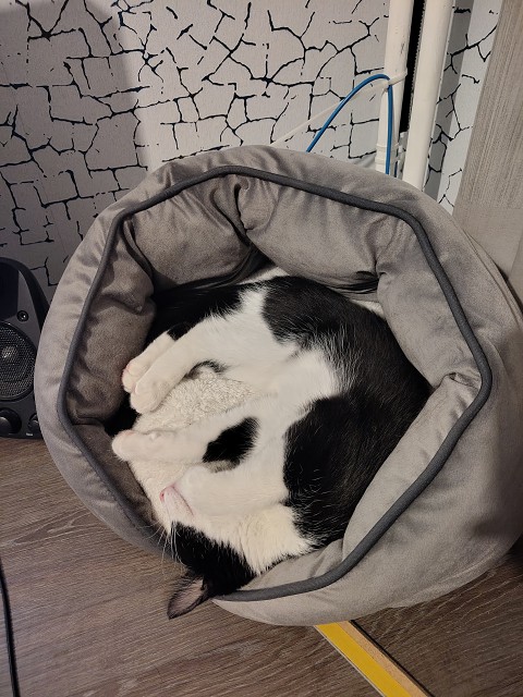 IMG 20250907 220946031