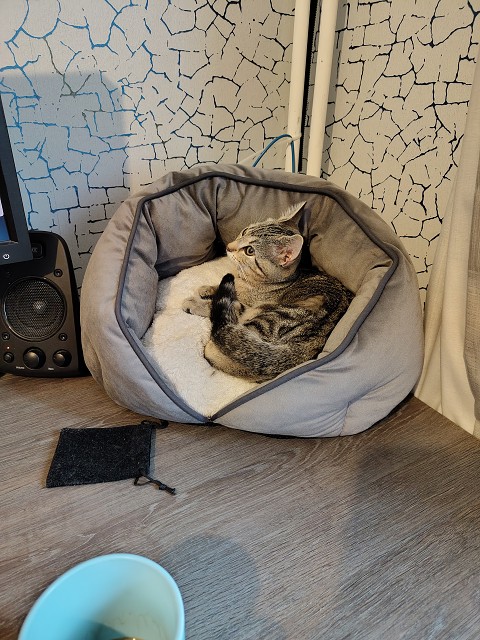 IMG 20250908 080349813