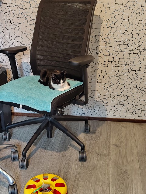 IMG 20250908 080355620