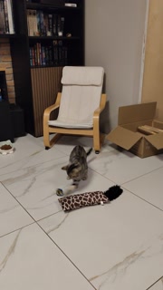 VID 20250907 204514.mp4